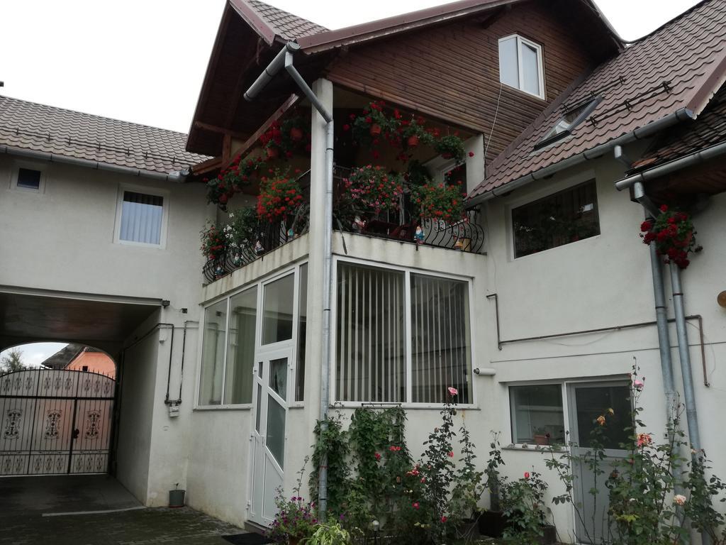 Rîşnov Vila Nely מראה חיצוני תמונה